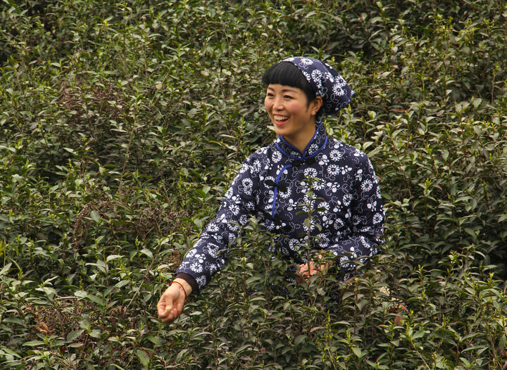 超模直播热门12